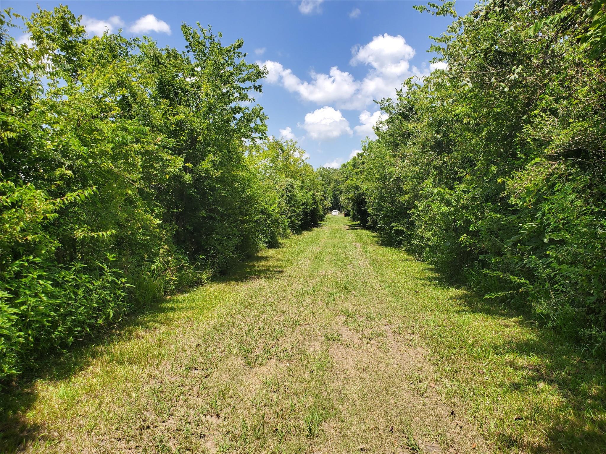 0 County Road 488b