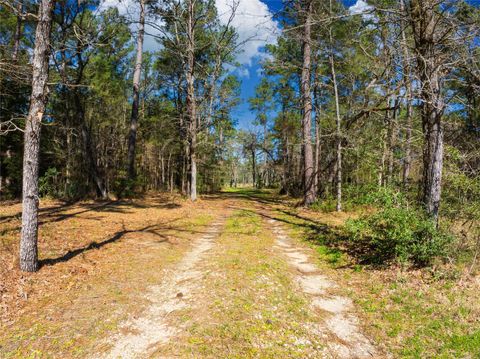 9191 Amelia Drive Anderson TX 77830