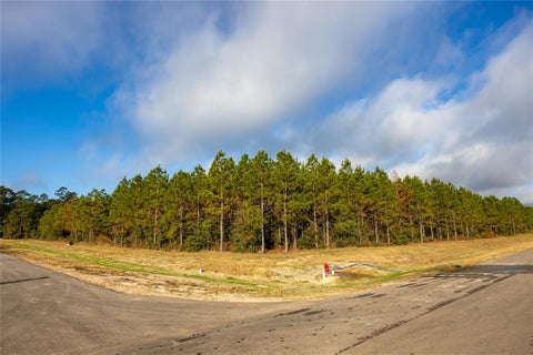 Vacant Land For Sale - 16326 Ridge Oak Road<br/> Willis, TX 77378