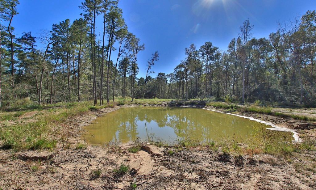Photo of 19320 Crystalwood Estates Drive, New Caney, TX 77357 (MLS # 49389809)