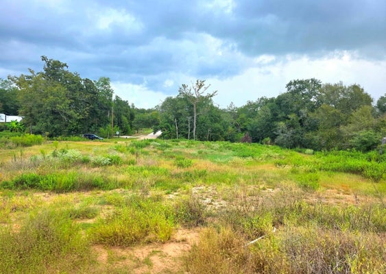 37903 ANTRIM ST, HEMPSTEAD, TX 77445 - Image fc512da9ca4595aebfc39751cf32fdea/3331042695