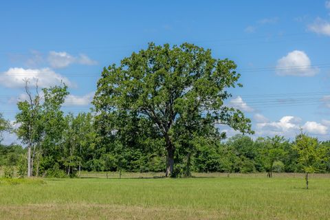 Photo of 6781 Atakapan Trail, Bedias, TX 77831 (MLS # 7420334)