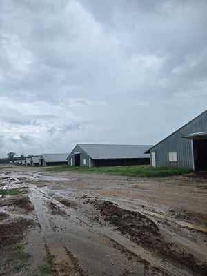 ADDRESS PRIVATE, SAN AUGUSTINE, TX 75972 - Image fc5fd96f55d1505ff7910b3233b4e69c/1188371736