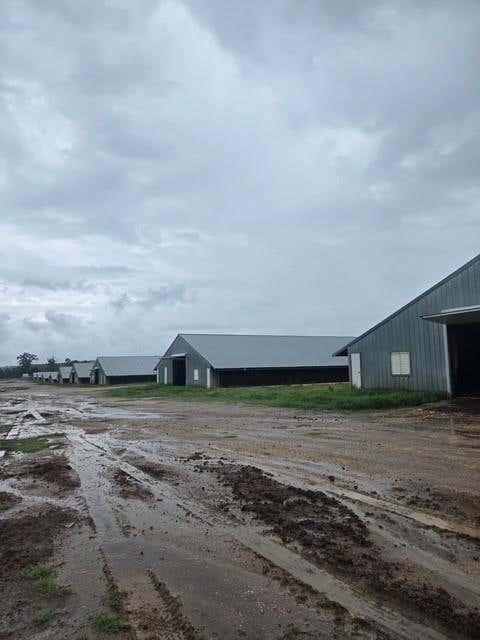 Photo of 399 Pr 7110, San Augustine, TX 75972 (MLS # 54897252)