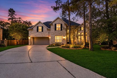 7 Birchwood Park Place The Woodlands TX 77382