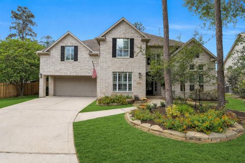 7 Birchwood Park Place The Woodlands TX 77382