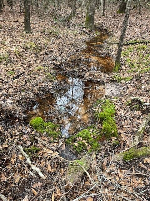 Photo of TBD Off Of County Road 2580, Colmesneil, TX 75938 (MLS # 3355535)