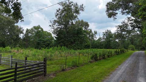 Photo of 703 County Road 703, Buna, TX 77612 (MLS # 83298649)