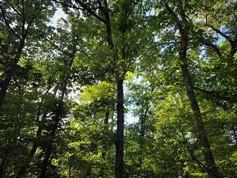 Photo of 0 Timber Ridge, Larue, TX 75770 (MLS # 25979161)