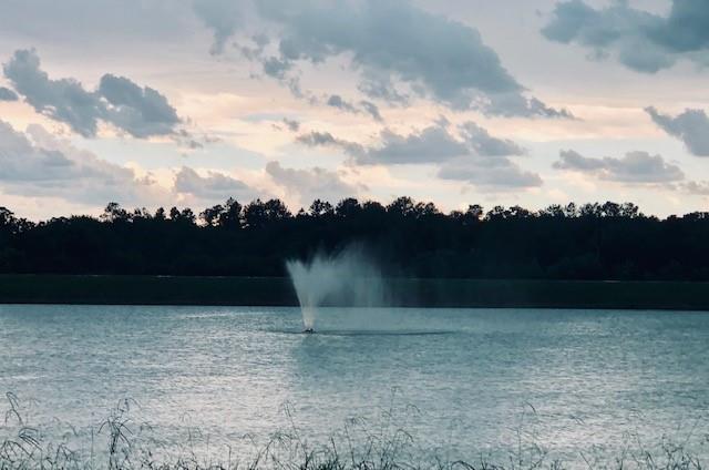 20718 Tealpointe Ridge Lane