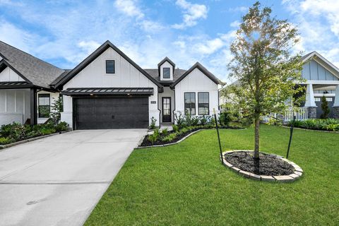 Photo of 2231 Birch View Lane, Katy, TX 77494 (MLS # 10230606)