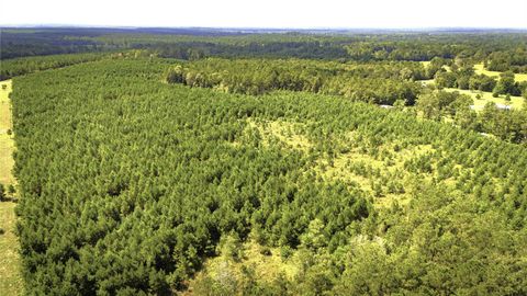 Photo of TBD Stutts Hill Road, Livingston, TX 77351 (MLS # 97786254)