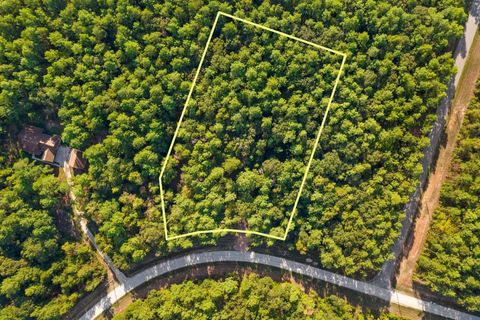 Vacant Land For Sale - 244 Remington Road<br/> Walker County, Huntsville, TX 77340