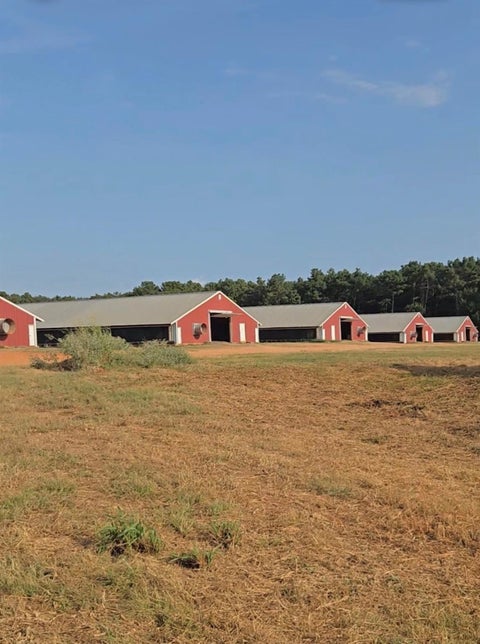 Photo of 2094 County Road 848, Cushing, TX 75760 (MLS # 51777174)