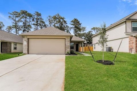 Photo of 222 Blue Crane Street, Huntsville, TX 77320 (MLS # 29945497)