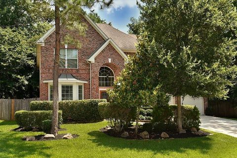 14 Filigree Pines The Woodlands TX 77382