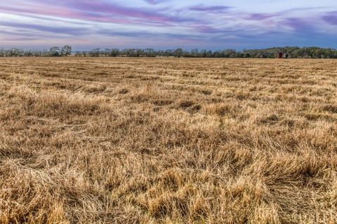 Vacant Land For Sale - TBD County Road 318<br/> Caldwell, TX 77836