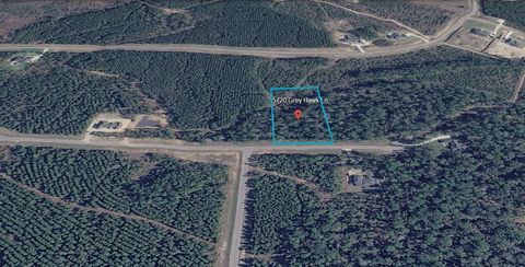 15720 Grey Hawk Ln Willis TX 77378