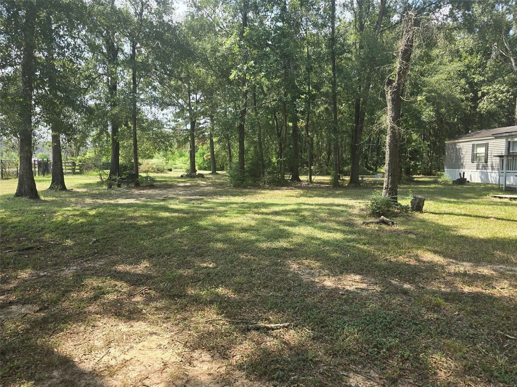 Photo of 22877 Hughey Lane, New Caney, TX 77357 (MLS # 53238673)