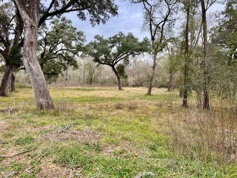 Photo of 3747 County Road 611, Angleton, TX 77515 (MLS # 39909875)