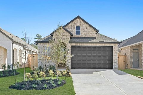 231 Navasota Narrows Court Conroe TX 77304