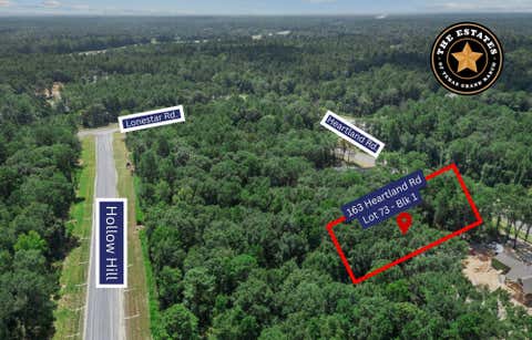 Photo of 163 Heartland Road, New Waverly, TX 77358 (MLS # 34029424)