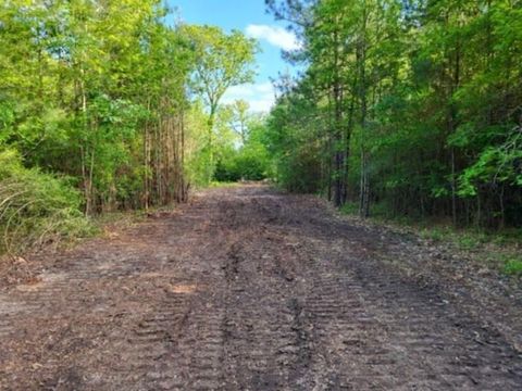 Vacant Land For Sale - 550 Robert Jones Road<br/> Huntington, TX 75949