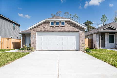 Photo of 21043 Santopadre Street, New Caney, TX 77357 (MLS # 10528793)