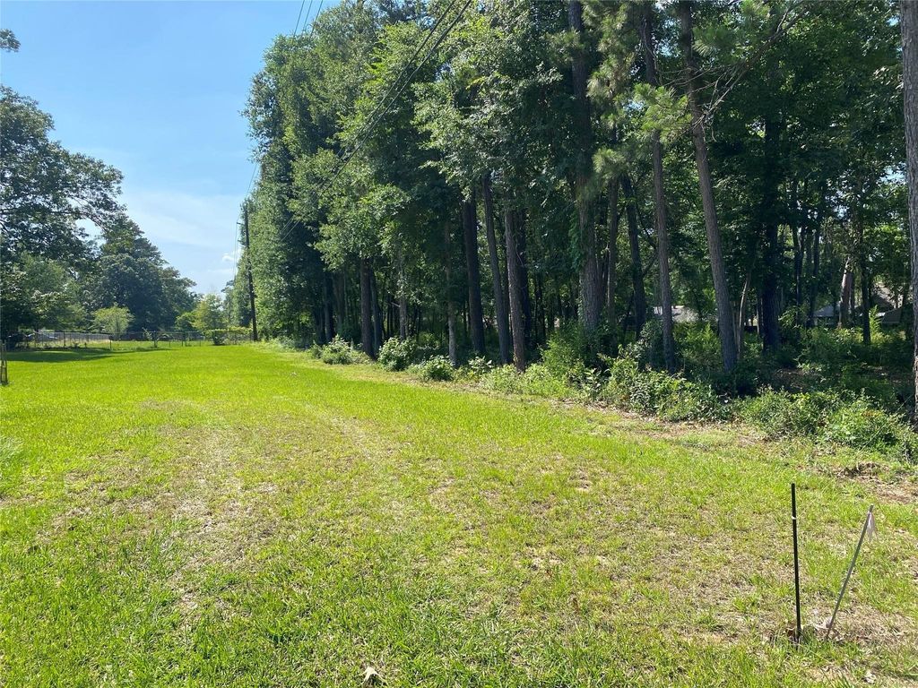 Photo of 2107 Roman Forest Boulevard, New Caney, TX 77357 (MLS # 65528463)