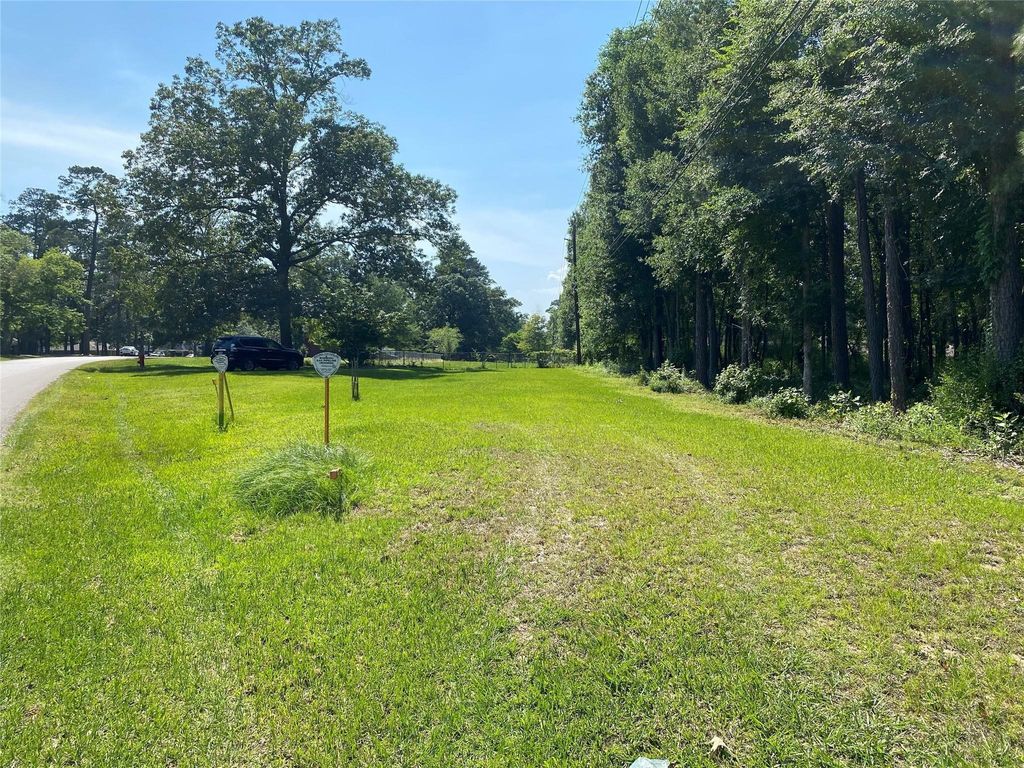 Photo of 2107 Roman Forest Boulevard, New Caney, TX 77357 (MLS # 65528463)
