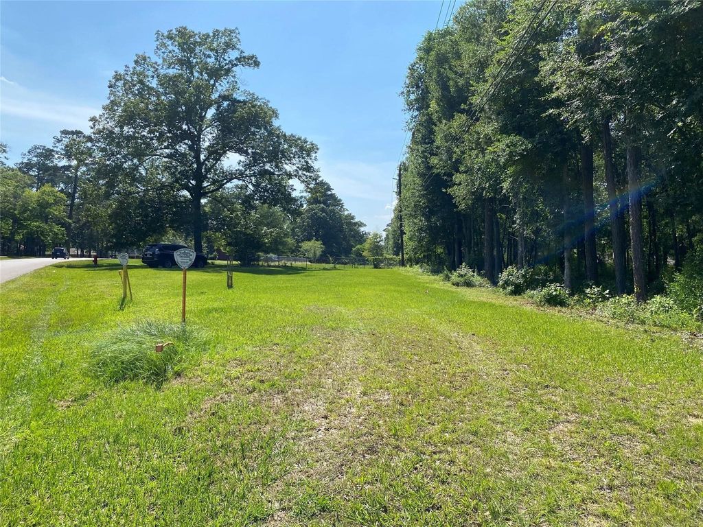 Photo of 2107 Roman Forest Boulevard, New Caney, TX 77357 (MLS # 65528463)