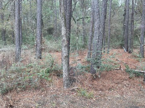 lot 19 Hackberry Drive Plantersville TX 77363