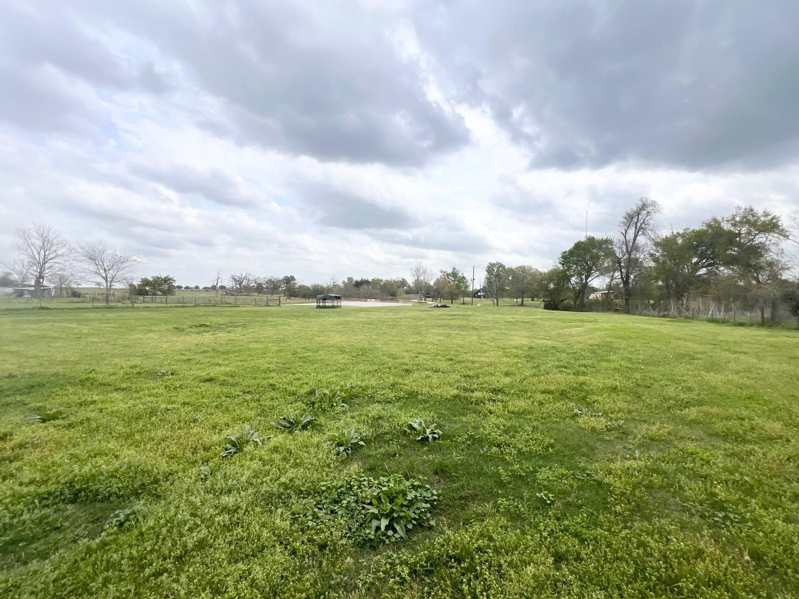 12294 State Highway 21 E