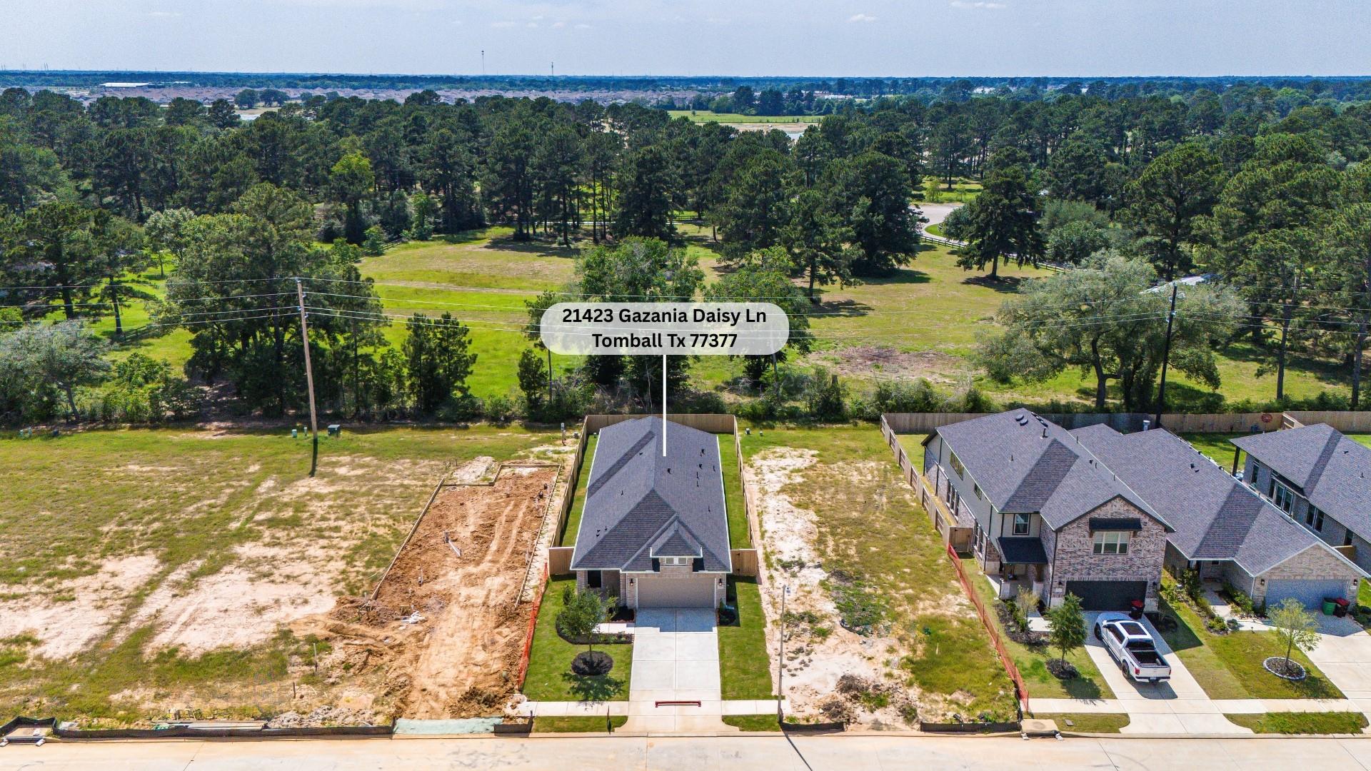 21423 Gazania Daisy Lane