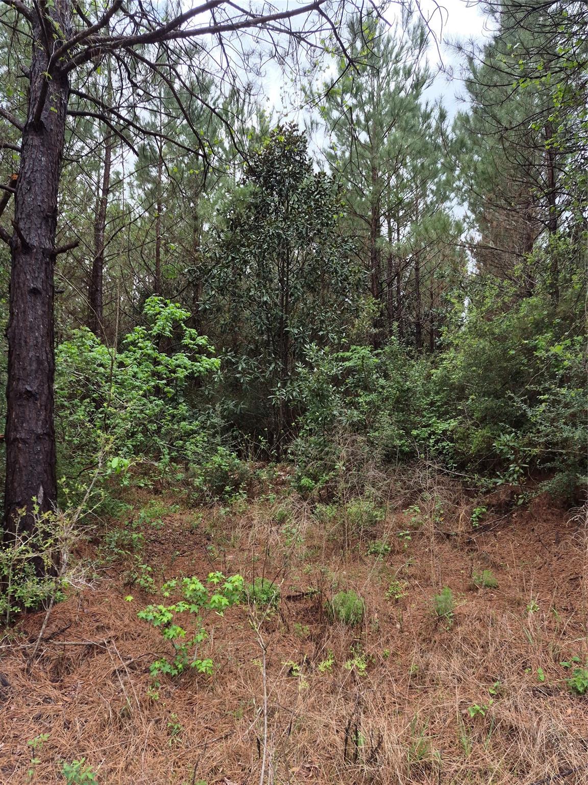 0002 Tbd E Schwab Road