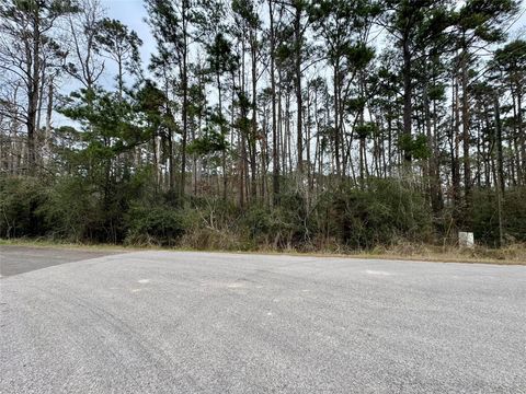 Photo of 105 Whisperwood Drive, Onalaska, TX 77360 (MLS # 44876495)