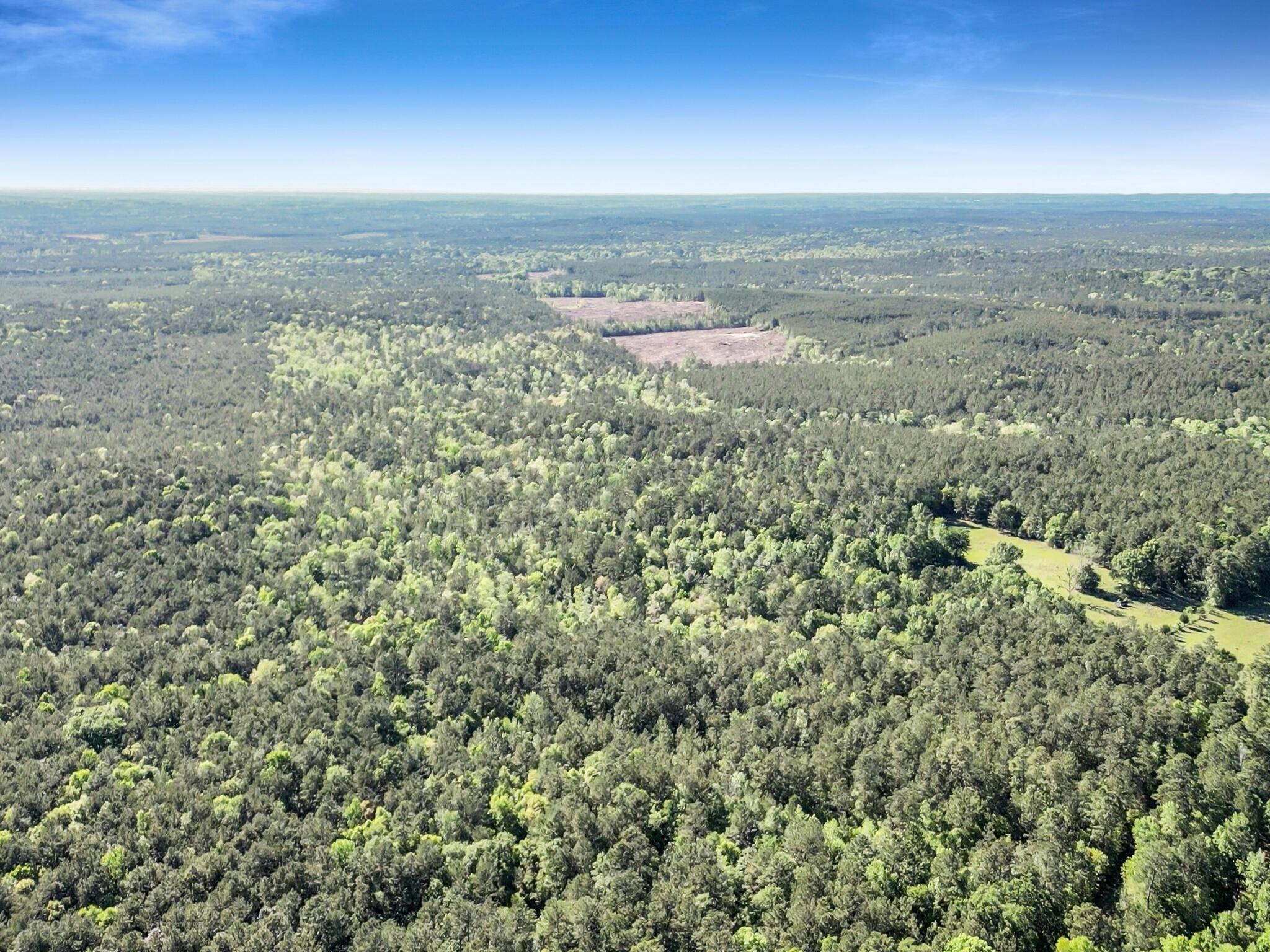 0000 County Road 425