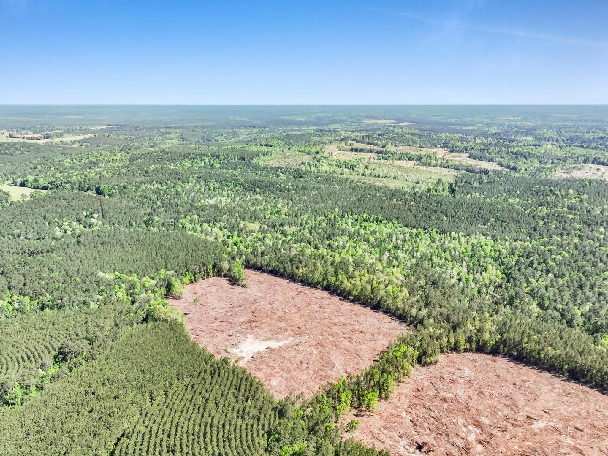 0000 County Road 425