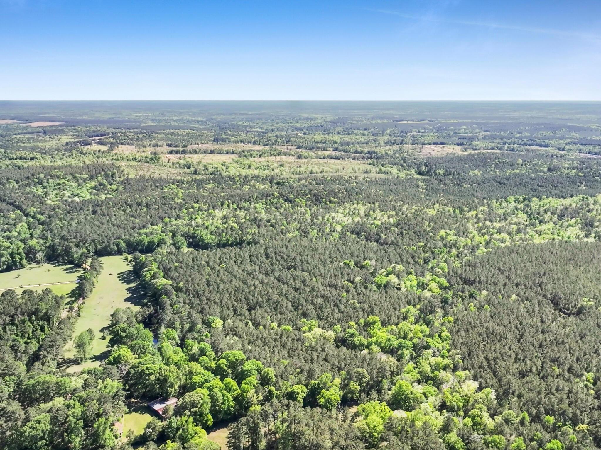 0000 County Road 425