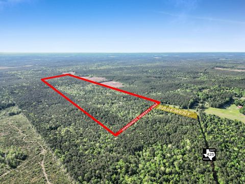 Photo of 0 County Road 425, Kirbyville, TX 75956 (MLS # 20647920)