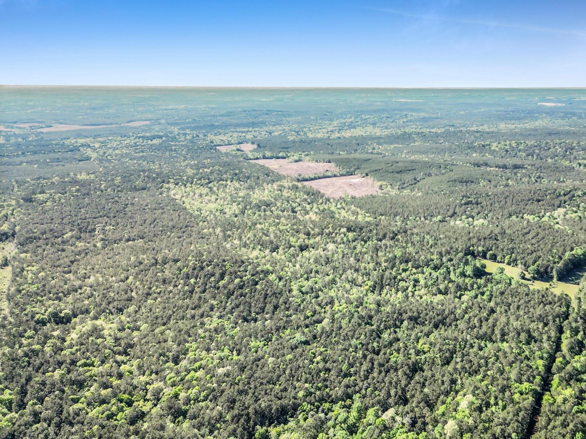 0000 County Road 425