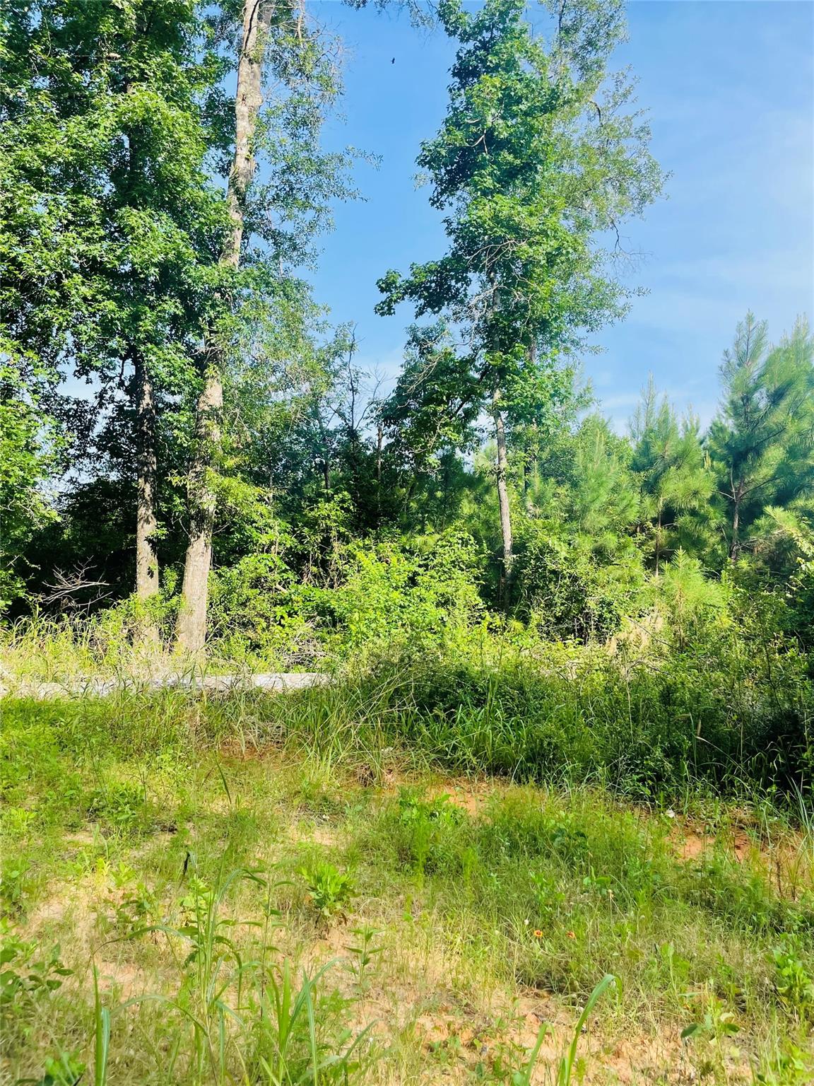 01 Bracewell Cemetery Road