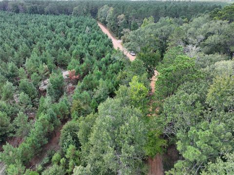 Vacant Land For Sale - 01 Bracewell Cemetery Road<br/> Livingston, TX 77351