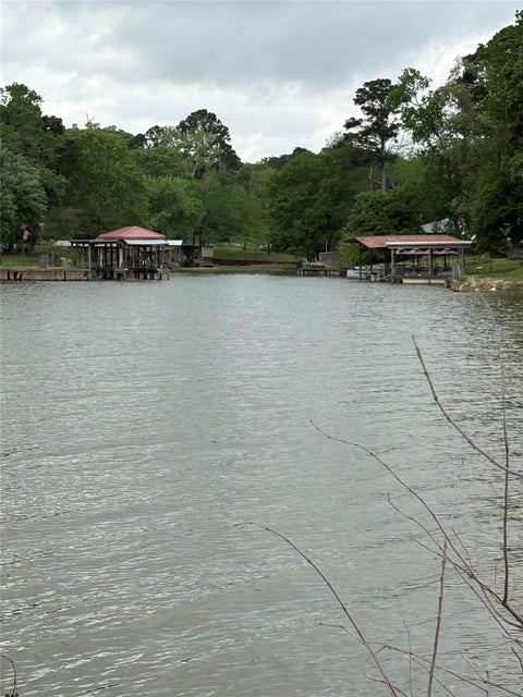 Photo of 0 Pintail Lane, Trinity, TX 75862 (MLS # 60683158)