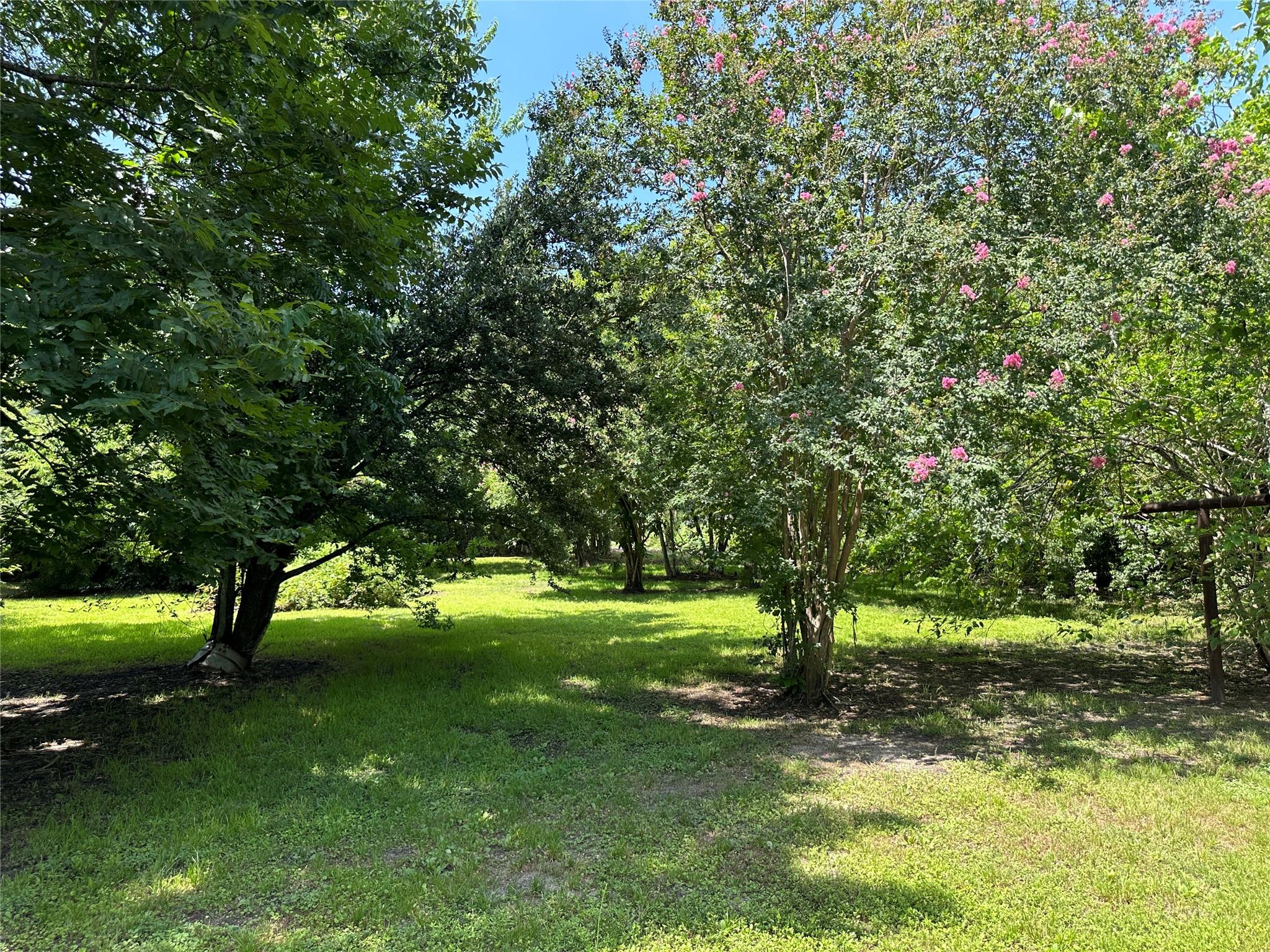 1102 N Battlebell Road