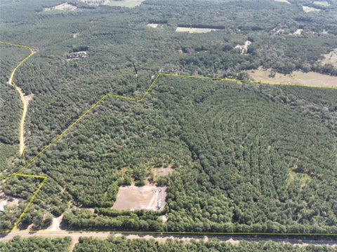 Vacant Land For Sale - T-5 Fm 256<br/> Woodville, TX 75979