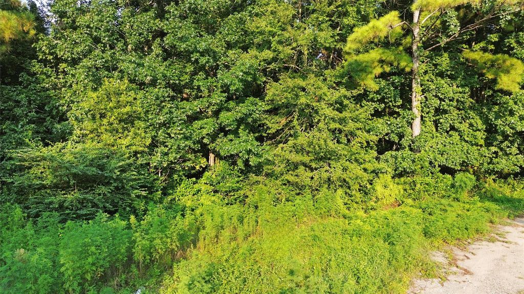 Photo of 25973 Sussex, New Caney, TX 77357 (MLS # 22764645)