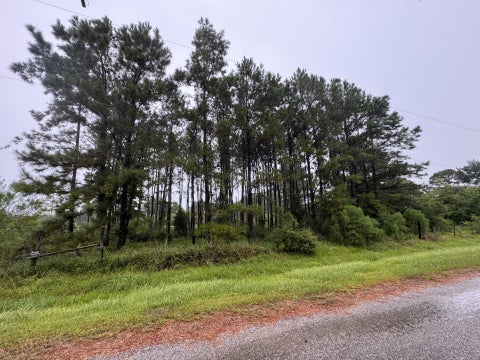 Photo of 235 County Road 1820, Liberty, TX 77575 (MLS # 29722250)