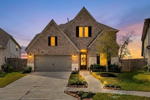 Photo of 10606 Novy Grove Drive, Missouri City, TX 77459 (MLS # 6193260)