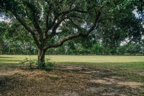 Tiny photo for 4601 Fm 390 E, Brenham, TX 77833 (MLS # 14096801)